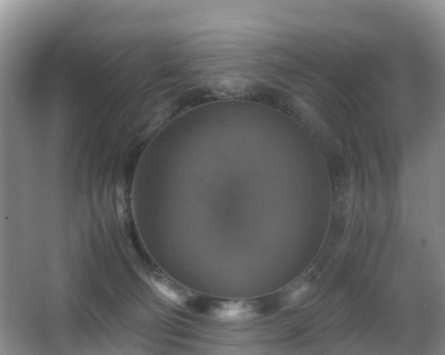 X0000067890130200604171347