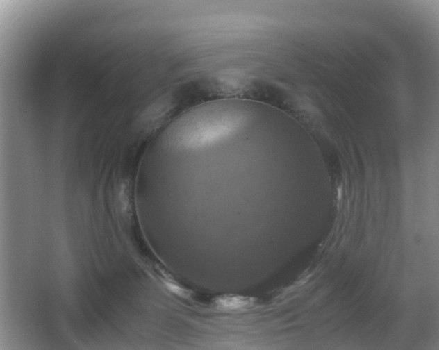 X0000067890131200604171347