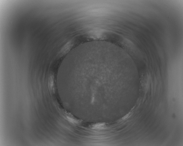 X0000067890132200604171347