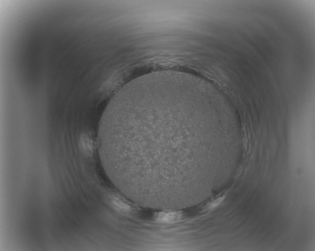 X0000067890135200604171347