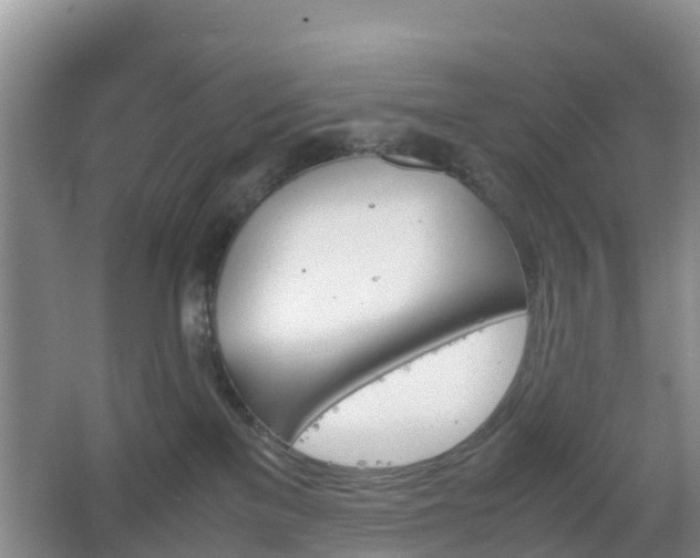 X0000067890137200604171347