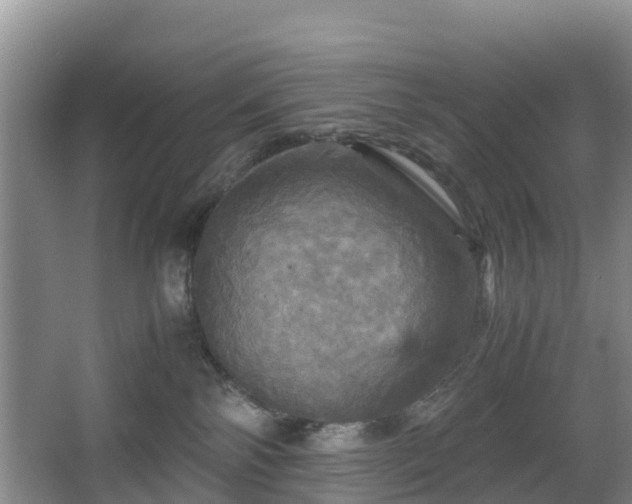 X0000067890138200604171347