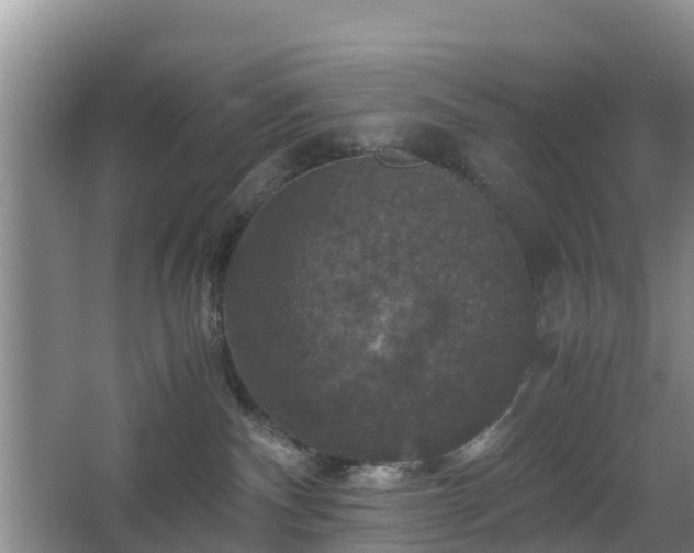 X0000067890140200604171347