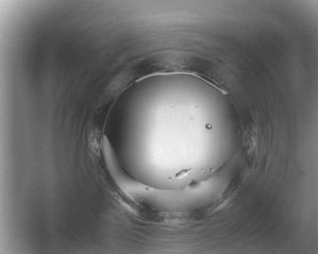 X0000067890141200604171347