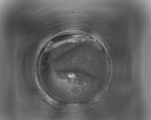 X0000067890145200604171346