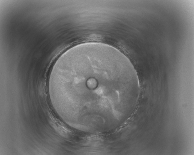 X0000067890146200604171346