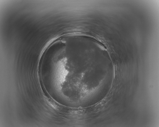 X0000067890147200604171346