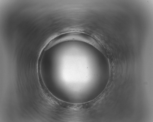 X0000067890148200604171346