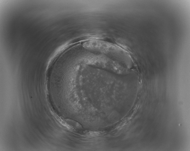 X0000067890149200604171346