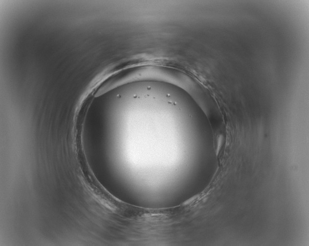 X0000067890150200604171346