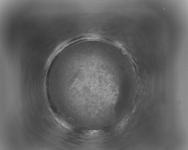 X0000067890151200604171346