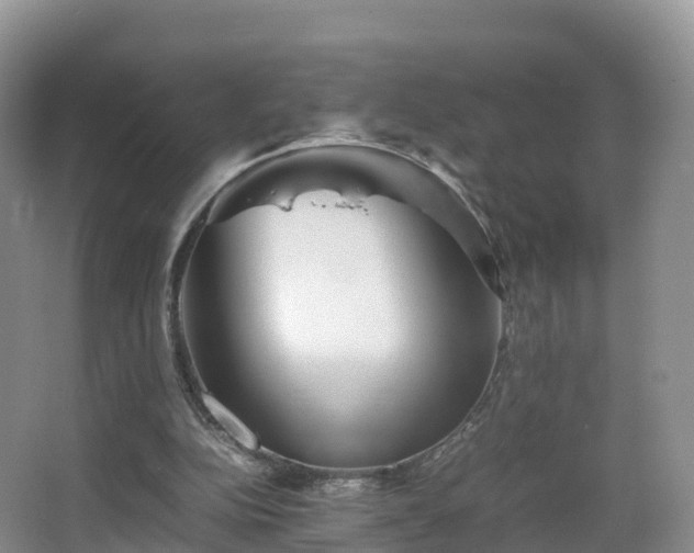 X0000067890152200604171346