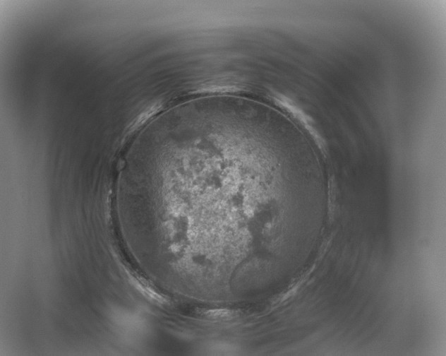 X0000067890153200604171346