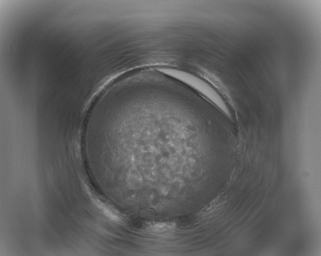 X0000067890155200604171346