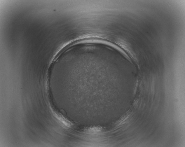 X0000067890156200604171346