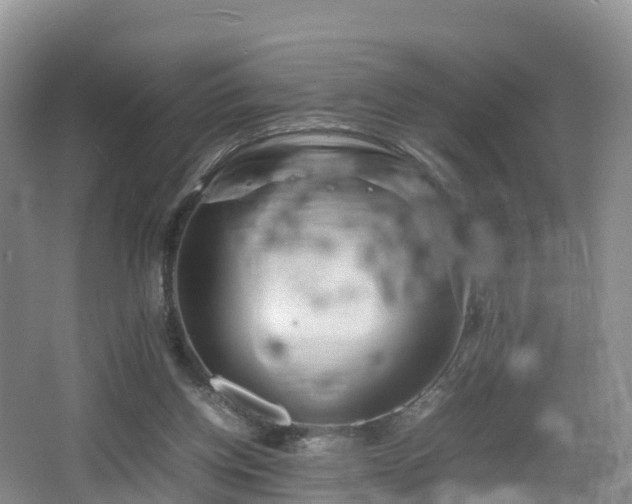 X0000067890158200604171346