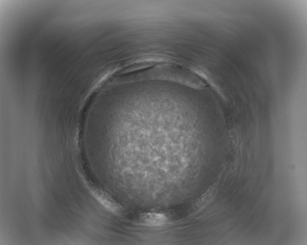 X0000067890159200604171346