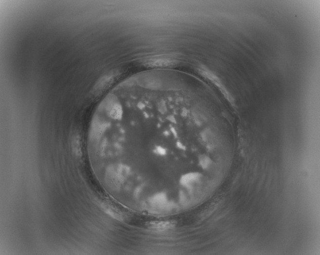 X0000067890161200604171346