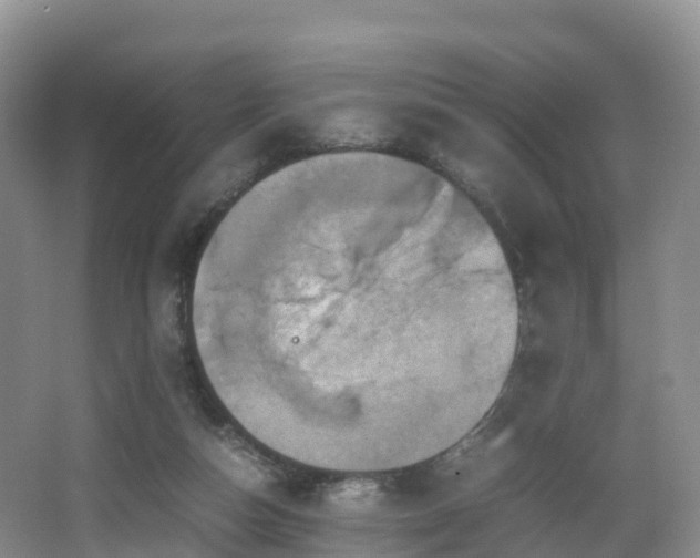 X0000067890162200604171346