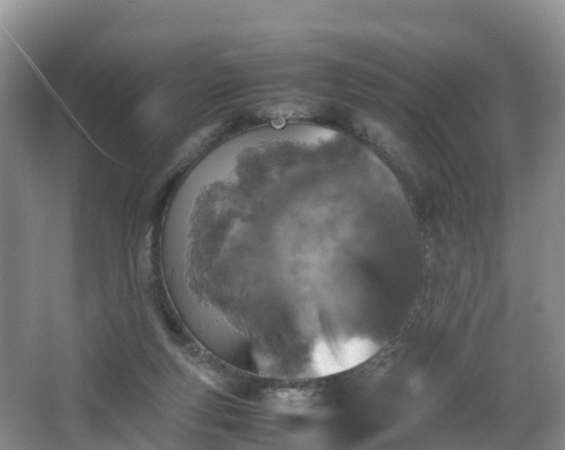 X0000067890163200604171346