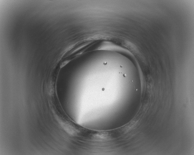 X0000067890164200604171346