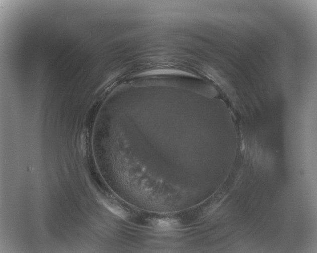 X0000067890165200604171346