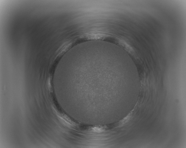 X0000067890166200604171346