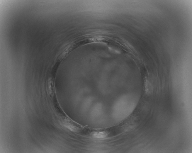 X0000067890169200604171346