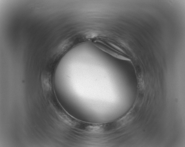 X0000067890170200604171346