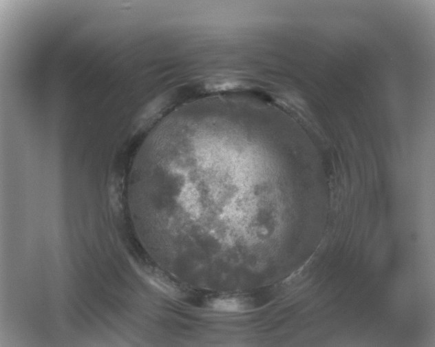 X0000067890171200604171346