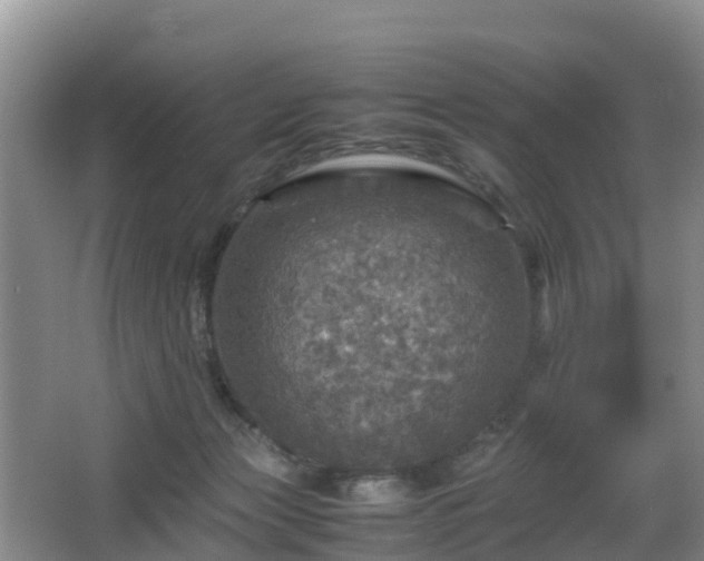 X0000067890173200604171346