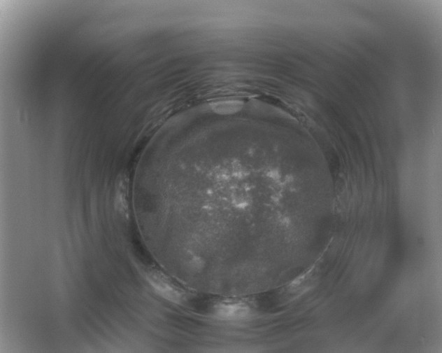 X0000067890175200604171346