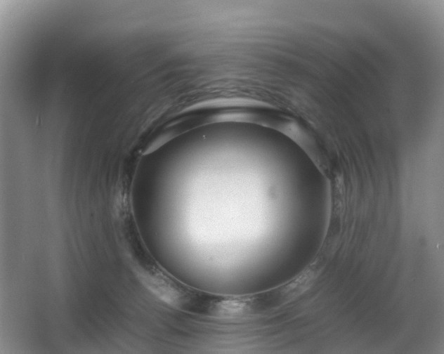 X0000067890176200604171346