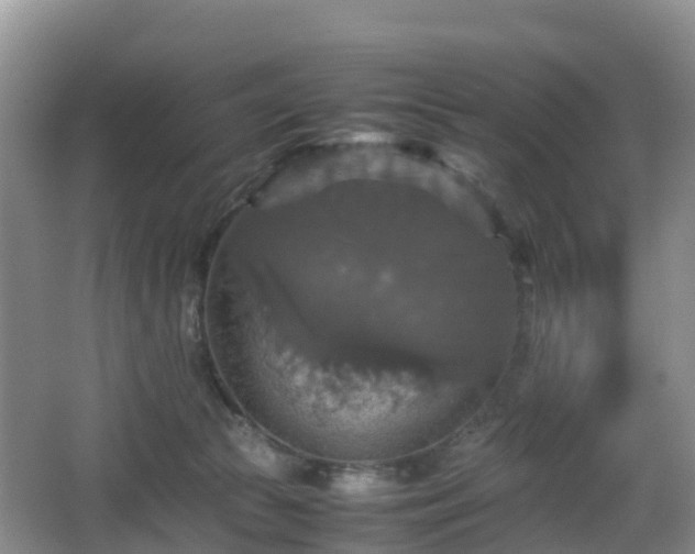 X0000067890177200604171346