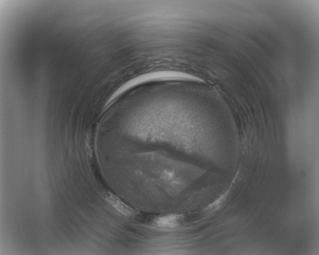 X0000067890178200604171346