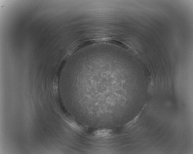 X0000067890179200604171346