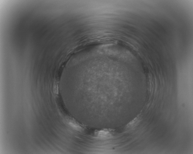 X0000067890180200604171346