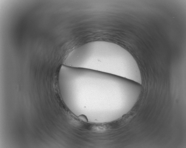 X0000067890181200604171346