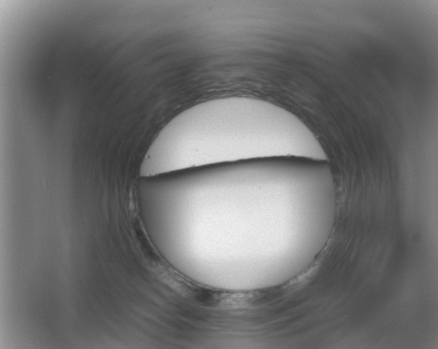 X0000067890182200604171346