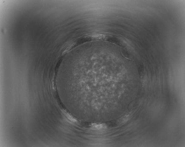 X0000067890185200604171346