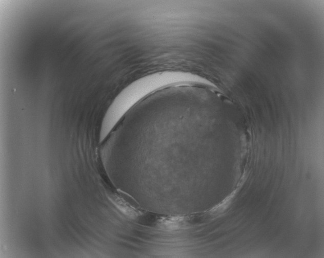 X0000067890186200604171346