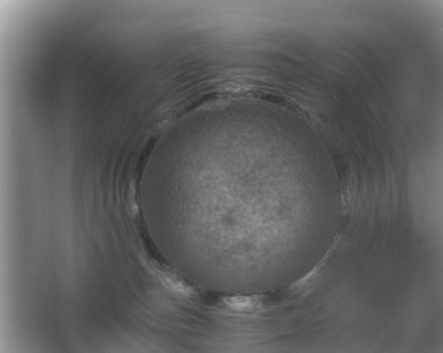 X0000067890187200604171346