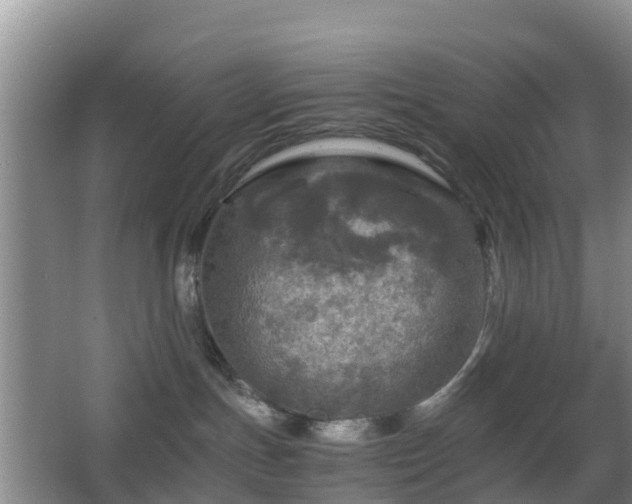 X0000067890191200604171347