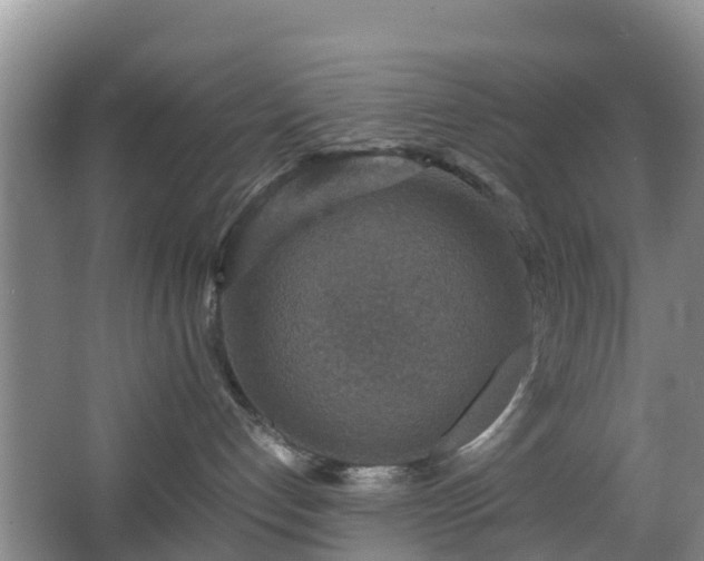 X0000067890192200604171347