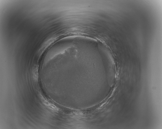 X0000067890194200604171346