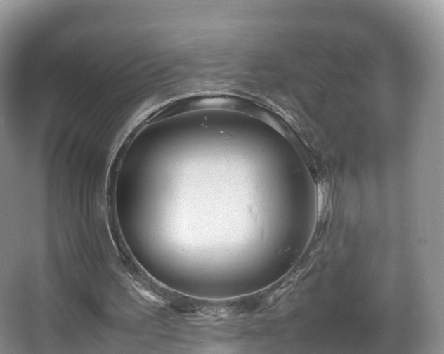 X0000067890195200604171346