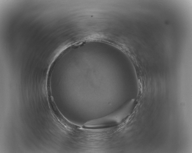 X0000067890196200604171346