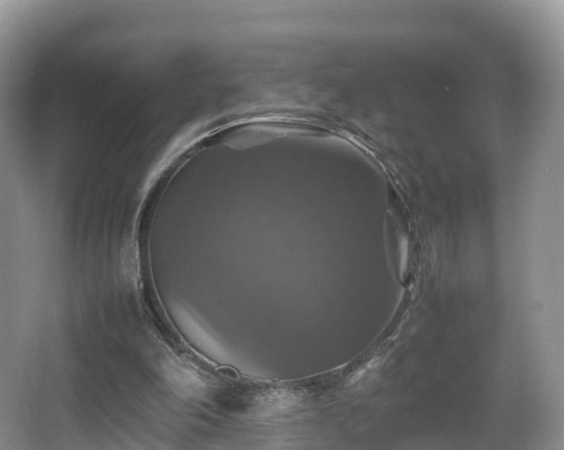 X0000067890198200604171346