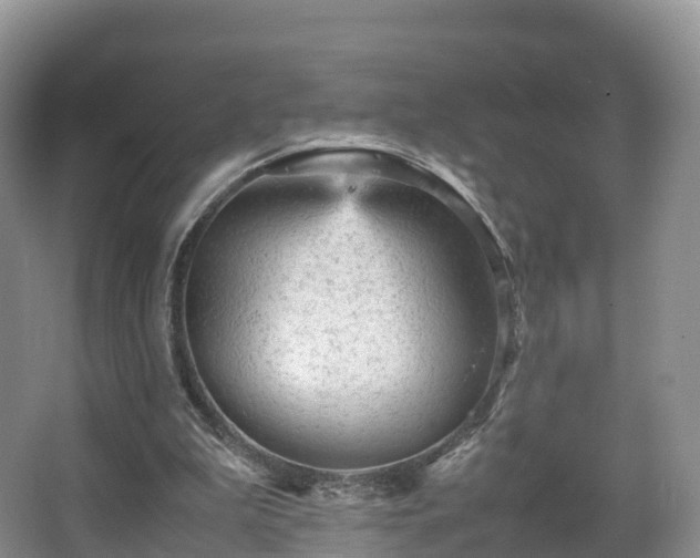 X0000067890199200604171346