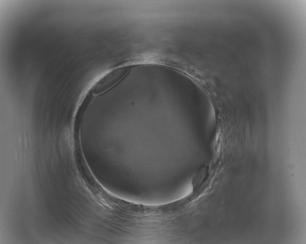 X0000067890200200604171346